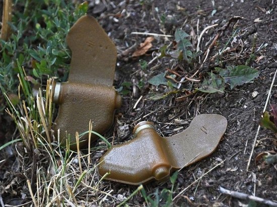 Мины-лепестки обнаружены на трех улицах Донецка