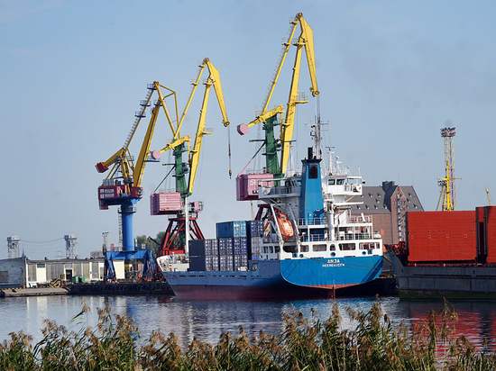 Лесикова назвала экспорт лома через калининградский порт «весьма логичным» решением
