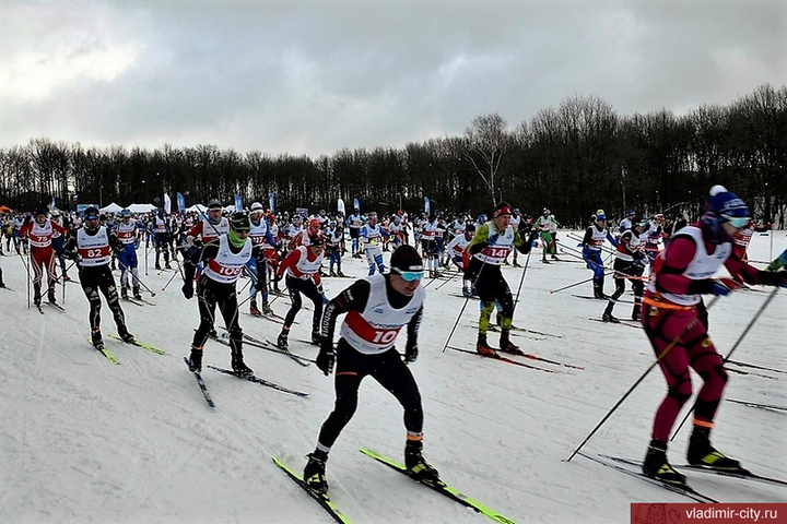 Участников лыжной гонки «Галичское Заозерье» доставят к месту старта спецавтобусами