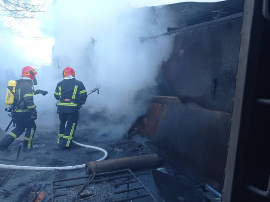 Пожар в Голосеевском районе Киева потушили