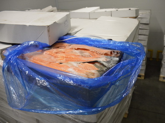 Смоленские таможенники пресекли контрабанду рыбной продукции из Дании