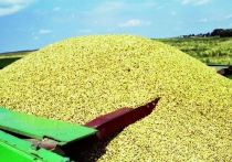 Власти Украины просят руководство ООН и Турции посодействовать в начале переговоров по продлению зерновой сделки