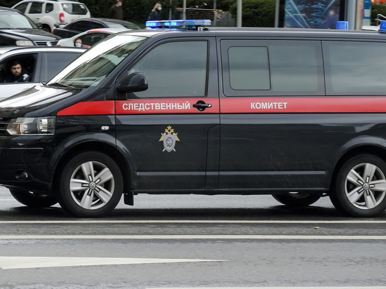 Тело восьмилетнего мальчика обнаружили в глубокой промоине в Саратовской области