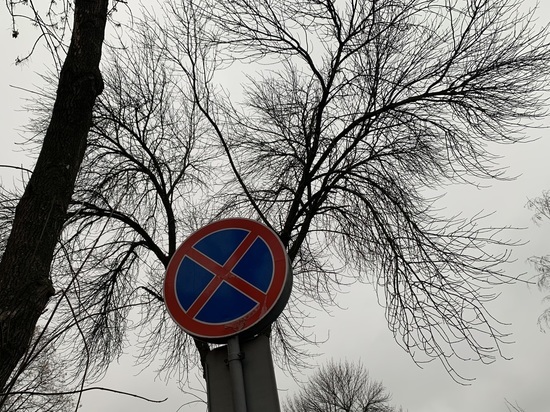 В Липецке могут запретить парковку на Стаханова, Катукова и Московской