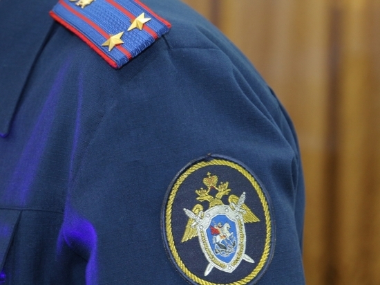 По факту обнаружения тела девочки в овраге в Ивановской области возбуждено уголовное дело