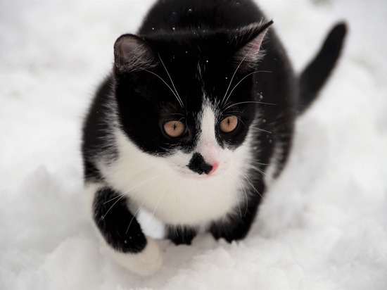 Смолянам рассказали, какой будет погода в первый день весны