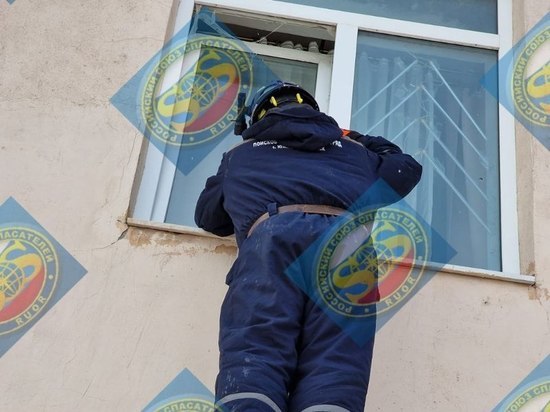 «Дальше разберется полиция»: спасатели влезли в окно к жительнице Южно-Сахалинска