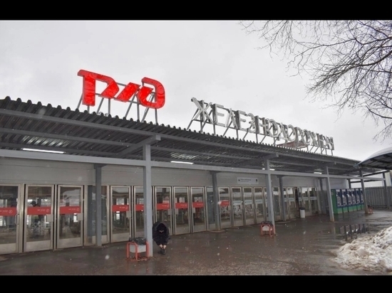 Памятник Анне Карениной предложили установить в Балашихе