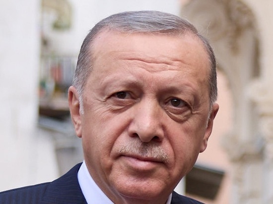 Опрос: Эрдоган лидирует в предвыборной гонке в Турции