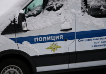 Житель Москвы угрожал страйкбольной гранатой гранатой сотрудникам полиции, которые приехали на вызов в квартиру на западе столицы