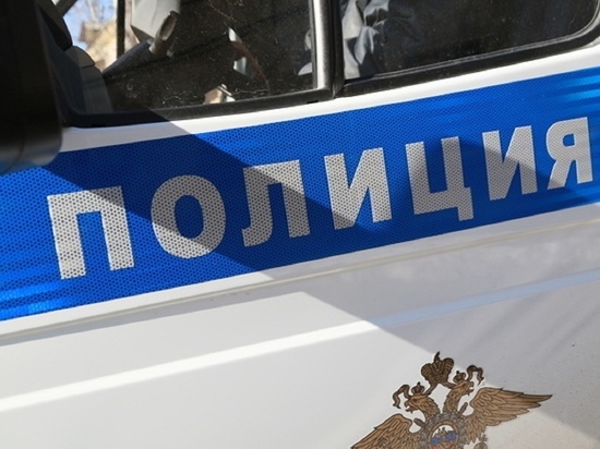 «Сожгли в печи, останки утопили в болоте»: в Алтайском крае раскрыли убийство 18-летней матери