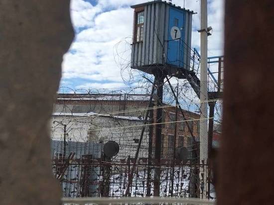Саратовская тюрьма покупает запах героина, кокаина и каннабиса