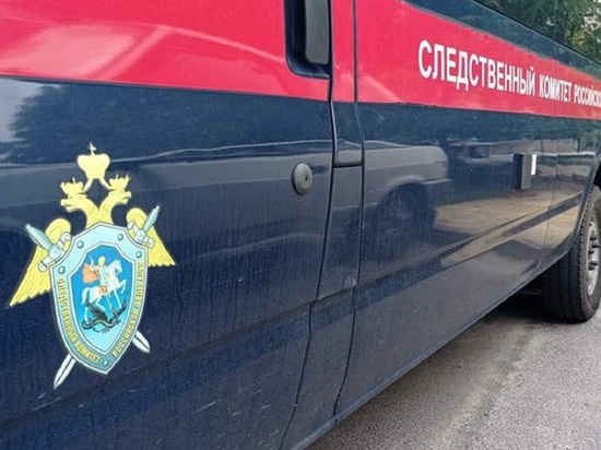 В Белгороде молодую мать и ее маленькую дочь нашли мертвыми в квартире