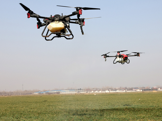 Эксперимент по использованию сельскохозяйственных дронов продлится три года
