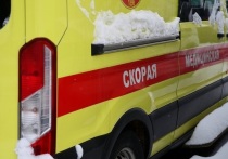 Пенсионер из села Лукино в Нижегородской области пытался травить насекомых в своей квартире, когда произошел взрыв