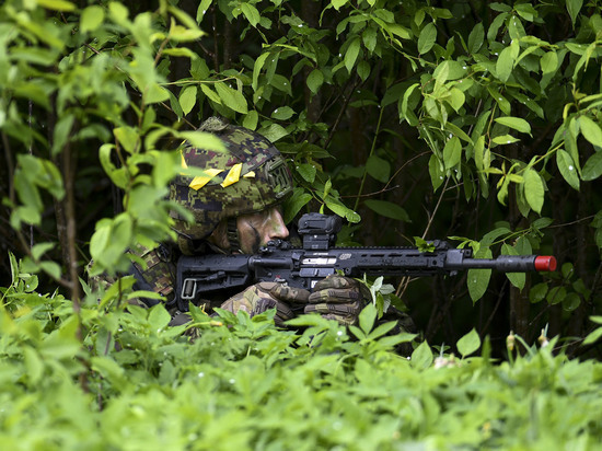 В Эстонии предложили увеличить численность армии в два раза