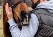 «Никто не верил, что я встану»: после тяжелой травмы красноярец начал делать ростовые цветы-светильники и ездить верхом