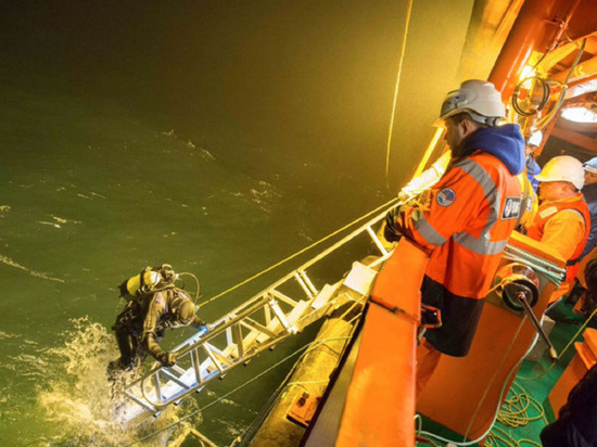 Прокуратура начала проверку из-за затонувшего в Татарском проливе китайского сухогруза