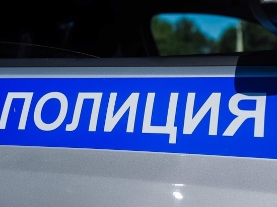 В Волгоградской области два рецидивиста украли более 20 коров