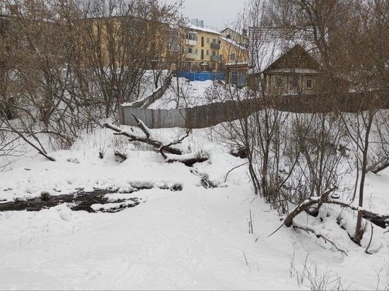 Задержана мать младенца, чьё тело нашли в овраге в Ивановской области