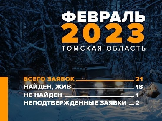 Поисковики "ЛизаАлерт" Томск в феврале 2023 года нашли 18 пропавших людей