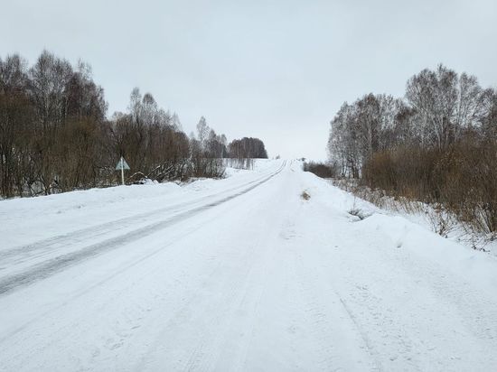 Восемь автобусных рейсов отменили в Новосибирской области из-за переметов