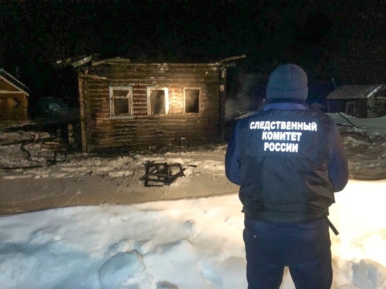 Житель деревни в Тверской области погиб во время пожара: СК проводит проверку