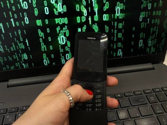 Сразу 20 сообщений о «минировании» школ разлетелись по Ленобласти