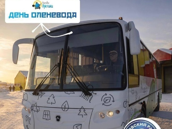 Жителей Пуровского района праздновать День оленевода бесплатно отвезут автобусы