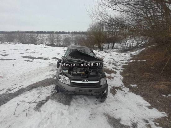 Пьяный водитель попал в больницу после ДТП в Белгородской области