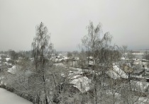 Телеграм-канал Baza опубликовал рассказ жительницы Климовского района Брянской области, где сегодня произошло нападение диверсионной группы с Украины