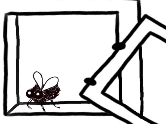 «Зачем нужны мухи?» — работу жительницы ЯНАО покажут на всероссийском фестивале анимационного кино
