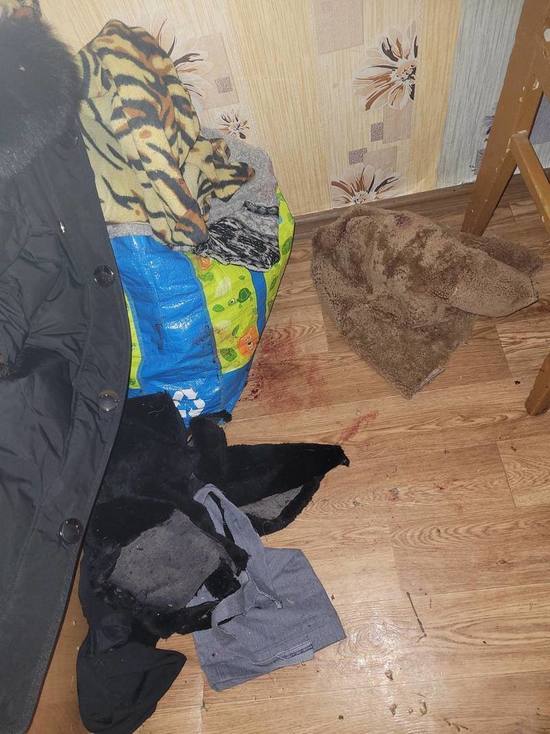 Жительница Якутии пыталась заколоть ножом родную мать