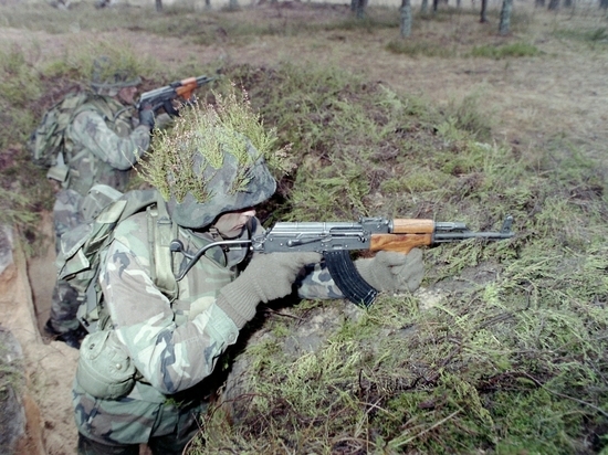 Политолог Старовойт раскритиковал власти Брянской области