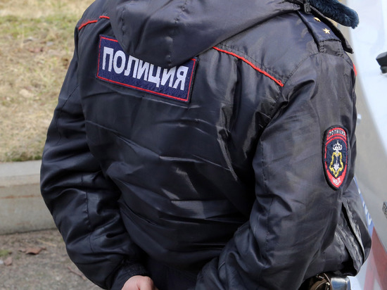 Под Зеленоградском полицейские задержали домушника на месте преступления
