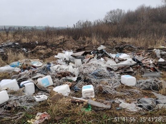 В Курской области за 2022 год Россельхознадзор выявил 11 свалок ТКО общей площадью более 2 га