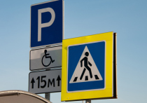 Бесплатно парковать свои автомобили на платных стоянках Московской области смогут впредь многодетные семьи из Подмосковья