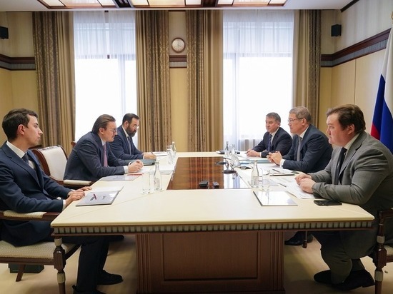 Радий Хабиров обсудил с инвестором реализацию проекта на 21 млрд рублей