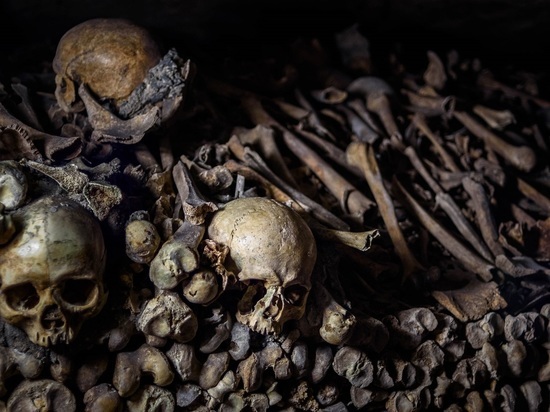 Землю с человеческими костями привезли на дачный участок жителю Дзержинска