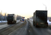 В Новгородской области весь апрель будет действовать временное ограничение на проезд тяжеловесного транспорта по региональным дорогам