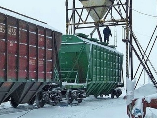 В феврале из Хакасии на экспорт отправлено 3,2 тысячи тонн зерна