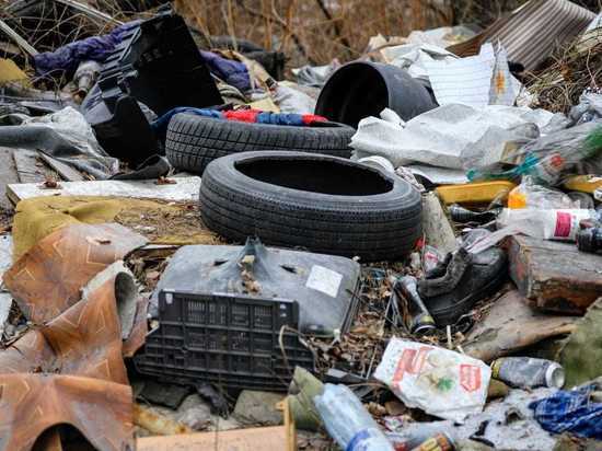 В Липецке ищут нелегальные мусорные свалки
