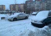 В субботу в Петербурге будет по-прежнему почти зимняя погода – будет снежно, да еще и ветрено, сообщили синоптики.