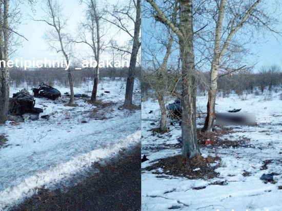 В Хакасии в ДТП на трассе погиб водитель