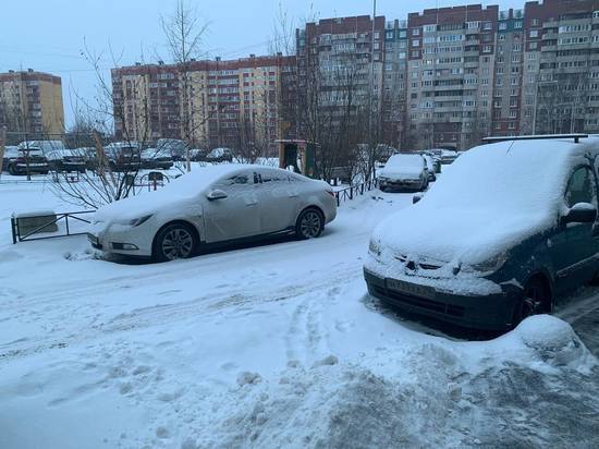Циклонический вихрь принесет в Петербург небольшой снег и северный ветер