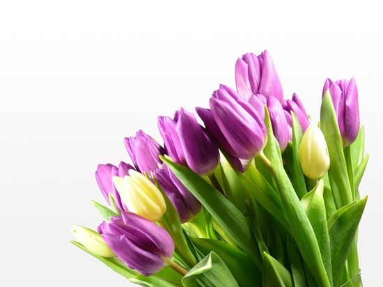 Где в Смоленске начали продавать цветы к 8 марта