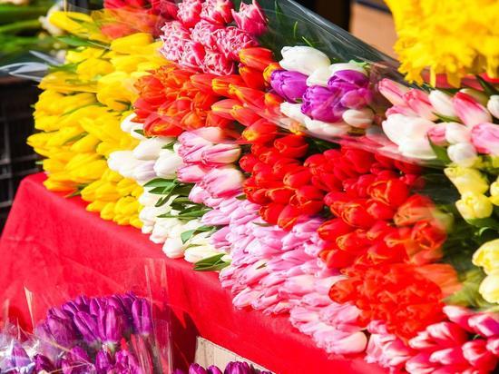 К 8 Марта в Волгограде откроют более 100 площадок по продаже цветов