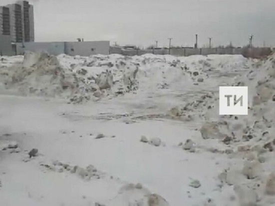 В Кайбицком районе Татарстана выявили незаконные свалки с токсичным снегом