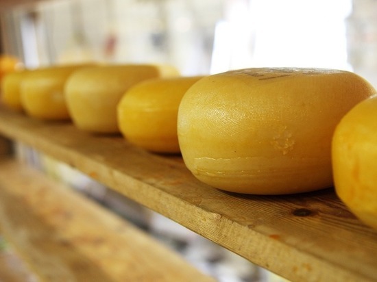 Как сохранить сыр свежим надолго: простейшая уловка