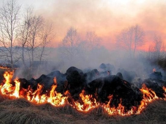 Пал травы у села в Забайкалье увеличился в 10 раз из-за сильного ветра